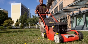 Rasen anlegen, erneuern und pflegen / Gartenbau Maltzahn - Gartenpflege im Großraum Schwerin